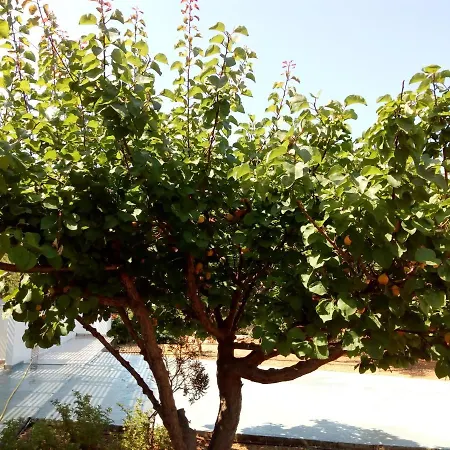 Appartamento Blue Horizon *