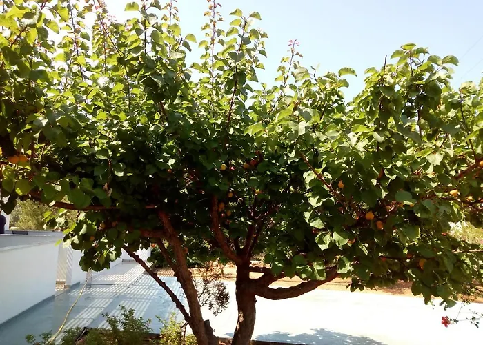 Апартаменты In - Blue Horizon *